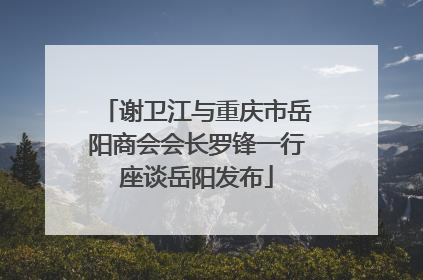 谢卫江与重庆市岳阳商会会长罗锋一行座谈岳阳发布