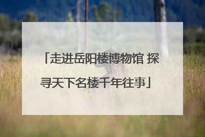 走进岳阳楼博物馆 探寻天下名楼千年往事