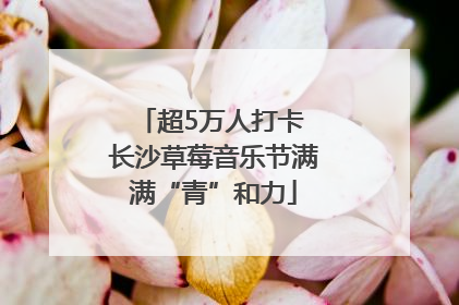 超5万人打卡 长沙草莓音乐节满满“青”和力