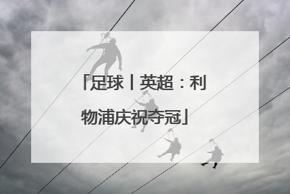 足球丨英超：利物浦庆祝夺冠