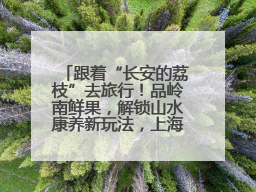 跟着“长安的荔枝”去旅行！品岭南鲜果，解锁山水康养新玩法，上海3小时直飞，自驾高速费优惠
