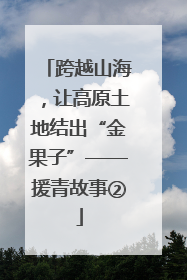 跨越山海，让高原土地结出“金果子”——援青故事②