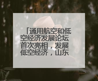 通用航空和低空经济发展论坛首次亮相，发展低空经济，山东机遇多