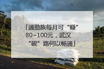 通勤族每月可“赚”80~100元，武汉“碳”路何以畅通