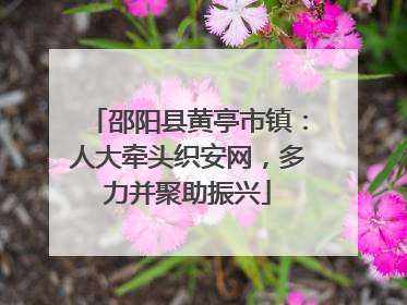 邵阳县黄亭市镇：人大牵头织安网，多力并聚助振兴