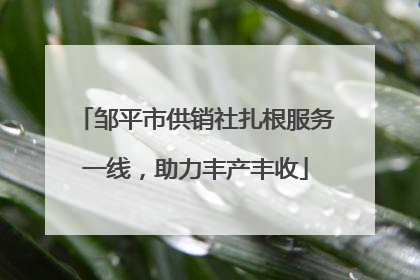 邹平市供销社扎根服务一线，助力丰产丰收