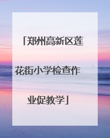 郑州高新区莲花街小学检查作业促教学