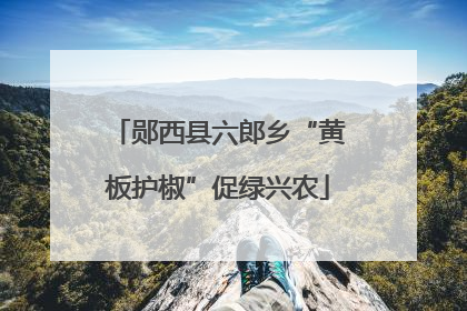 郧西县六郎乡“黄板护椒”促绿兴农