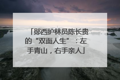 郧西护林员陈长贵的“双面人生”：左手青山，右手亲人