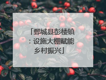 鄄城县彭楼镇：设施大棚赋能乡村振兴