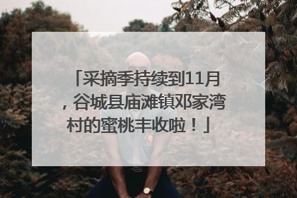 采摘季持续到11月，谷城县庙滩镇邓家湾村的蜜桃丰收啦！