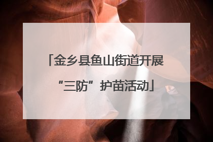 金乡县鱼山街道开展“三防”护苗活动