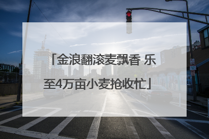 金浪翻滚麦飘香 乐至4万亩小麦抢收忙