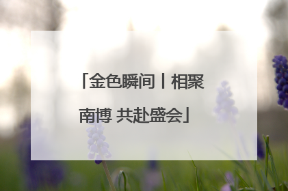 金色瞬间丨相聚南博 共赴盛会