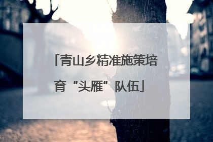 青山乡精准施策培育“头雁”队伍