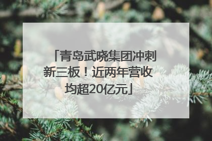 青岛武晓集团冲刺新三板！近两年营收均超20亿元