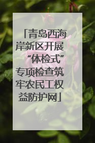 青岛西海岸新区开展“体检式”专项检查筑牢农民工权益防护网