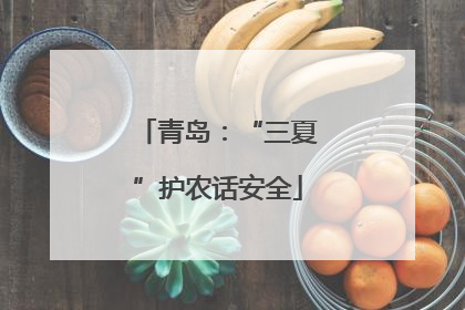 青岛：“三夏”护农话安全