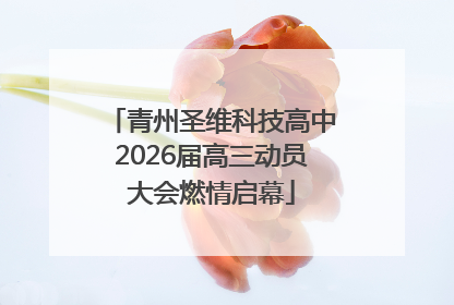 青州圣维科技高中2026届高三动员大会燃情启幕