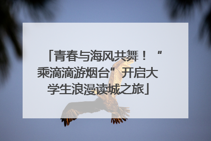 青春与海风共舞！“乘滴滴游烟台”开启大学生浪漫读城之旅