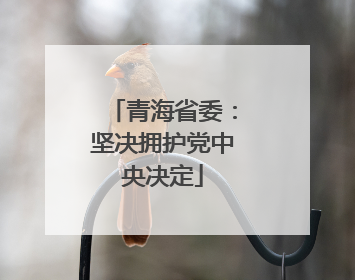 青海省委：坚决拥护党中央决定