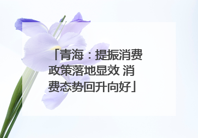 青海：提振消费政策落地显效 消费态势回升向好