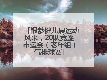 银龄健儿展运动风采，20队竞逐市运会（老年组）气排球赛