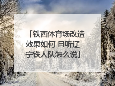 铁西体育场改造效果如何 且听辽宁铁人队怎么说