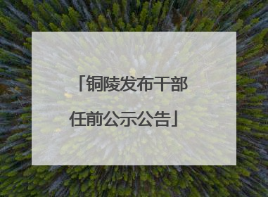 铜陵发布干部任前公示公告