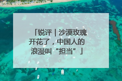 锐评｜沙漠玫瑰开花了，中国人的浪漫叫“担当”