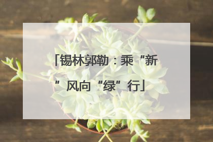 锡林郭勒：乘“新”风向“绿”行