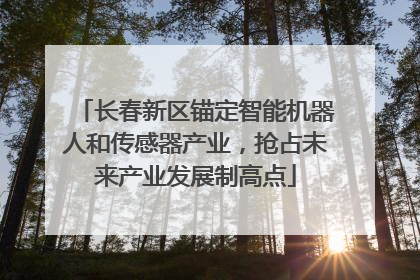长春新区锚定智能机器人和传感器产业，抢占未来产业发展制高点