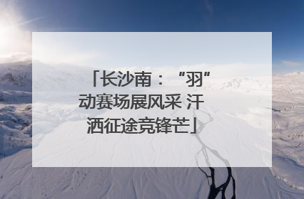 长沙南：“羽”动赛场展风采 汗洒征途竞锋芒