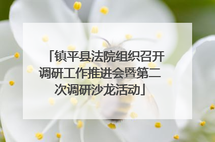镇平县法院组织召开调研工作推进会暨第二次调研沙龙活动