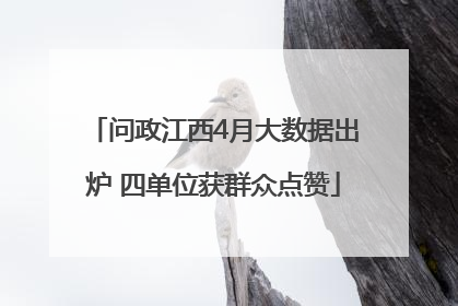 问政江西4月大数据出炉 四单位获群众点赞