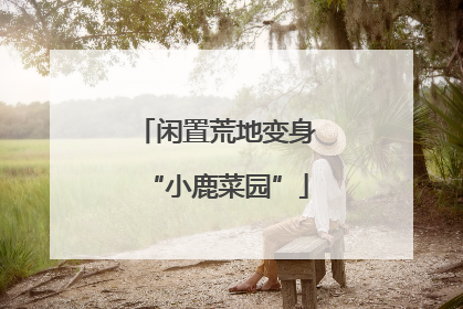 闲置荒地变身“小鹿菜园”