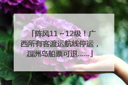 阵风11～12级！广西所有客渡运航线停运，涠洲岛船票可退……