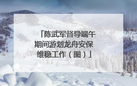 陈武军督导端午期间游划龙舟安保维稳工作（图）