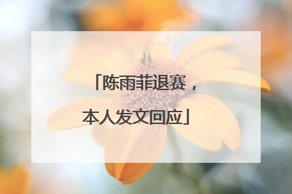 陈雨菲退赛，本人发文回应