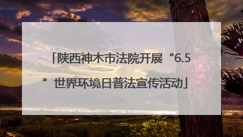 陕西神木市法院开展“6.5”世界环境日普法宣传活动