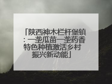 陕西神木栏杆堡镇：一垄瓜苗一垄药香 特色种植激活乡村振兴新动能