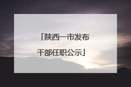 陕西一市发布干部任职公示