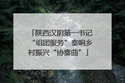 陕西汉阴第一书记“组团服务”奏响乡村振兴“协奏曲”