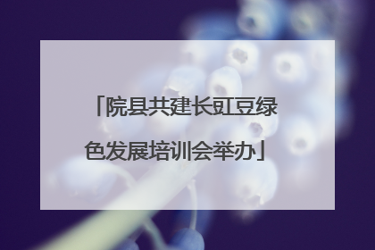 院县共建长豇豆绿色发展培训会举办