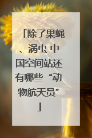 除了果蝇、涡虫 中国空间站还有哪些“动物航天员”