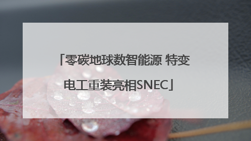 零碳地球数智能源 特变电工重装亮相SNEC