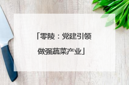 零陵：党建引领 做强蔬菜产业