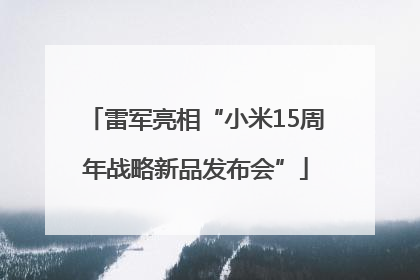 雷军亮相“小米15周年战略新品发布会”