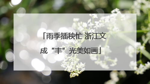 雨季插秧忙 浙江文成“丰”光美如画