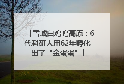 雪域白鸡鸣高原：6代科研人用62年孵化出了“金蛋蛋”